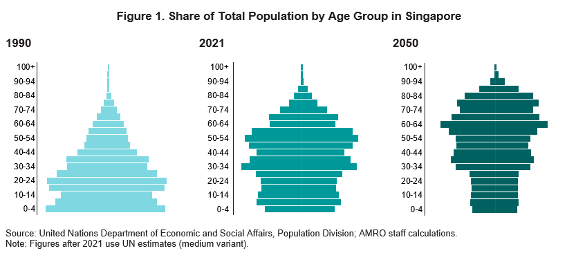 Silver Tsunami Aging Population Graph